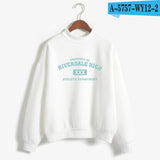 BTS Riverdale Pink Women and men Hoodies Sweatshirts Fashion Hooded  Long Sleeve Sweatshirt Casual Clothing south side serpents